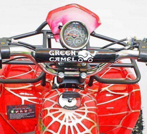 Квадроцикл GreenCamel Гоби K21 (30 Ah 36V 800W R6 Цепь) Красный паук