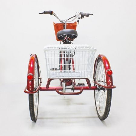 Электровелосипед GreenCamel Трайк-24 (R24 500W 48V 10Ah) красный