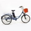 Электровелосипед GreenCamel Трайк-24 (R24 500W 48V 15Ah) синий