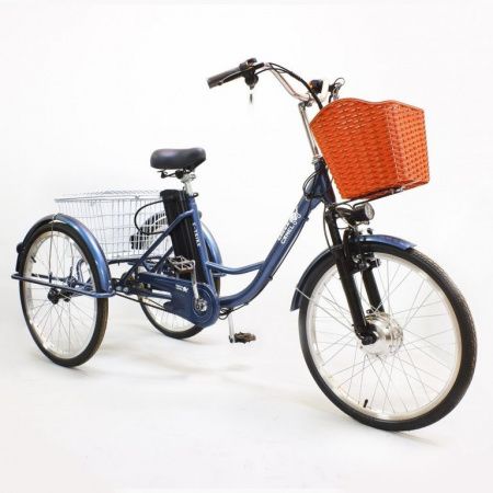 Электровелосипед GreenCamel Трайк-24 (R24 500W 48V 10Ah) синий