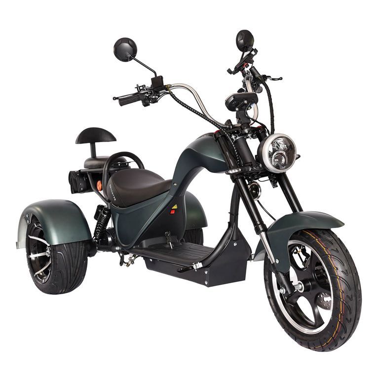 Citycoco Skyboard br Moto 2000w