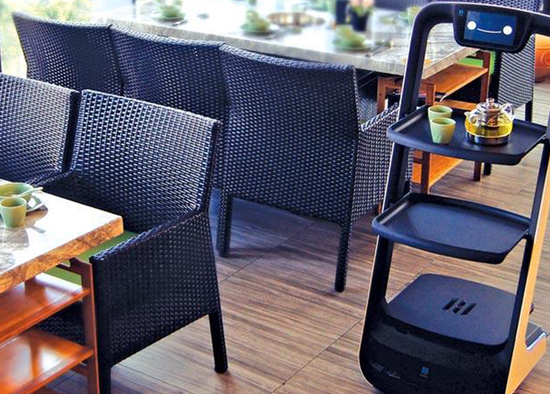 Робот Pudu PuduBot