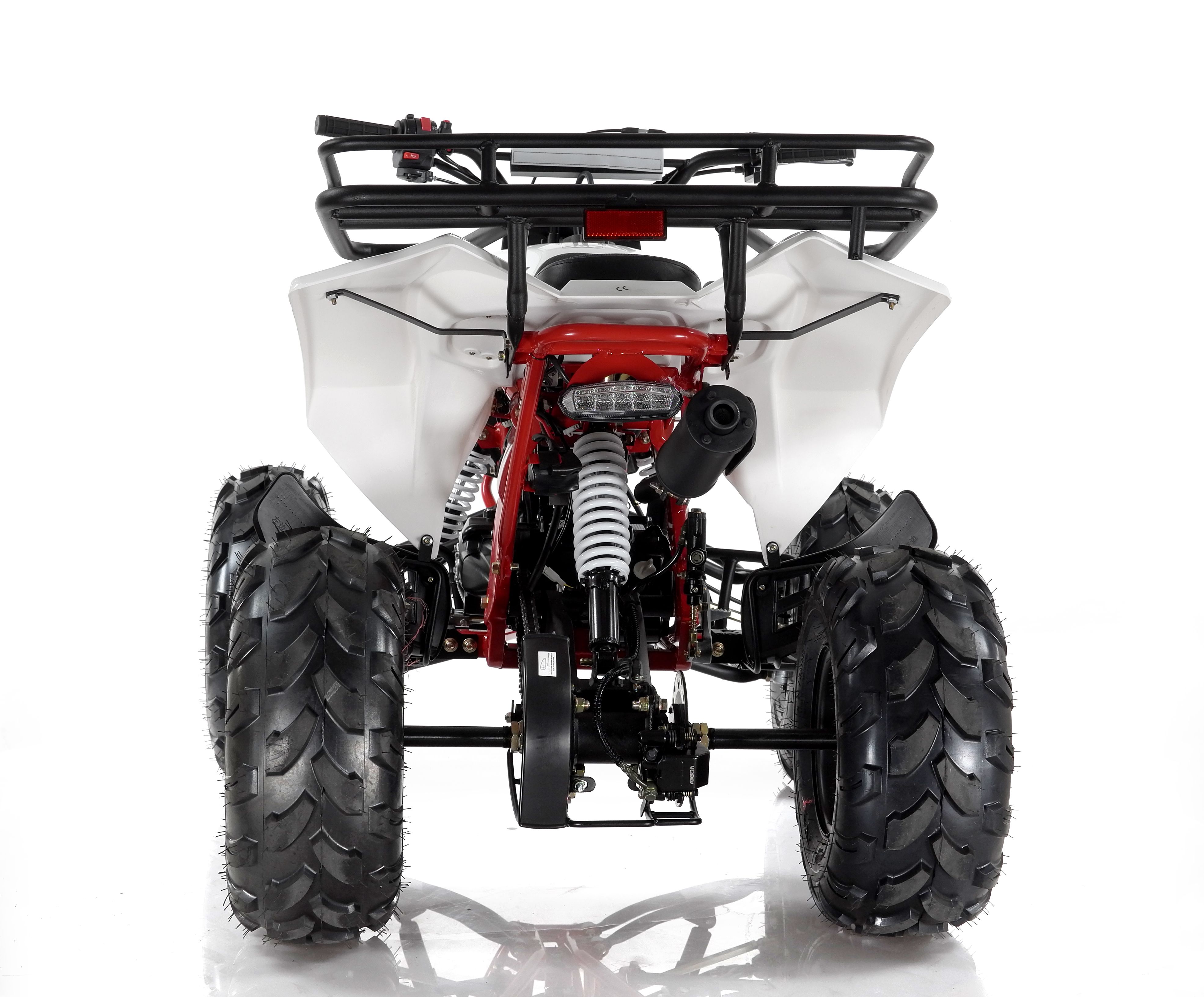 125 lux. MOTAX atv Raptor Lux 125 СС. Квадроцикл бензиновый MOTAX atv Raptor super Lux 125 СС. MOTAX Raptor 125. Квадроцикл MOTAX Raptor super Lux.