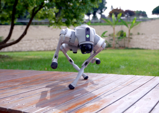 Робот Unitree Go2 Pro