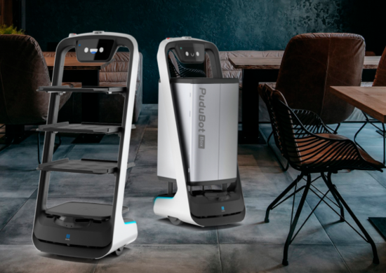 Робот Pudu PuduBot