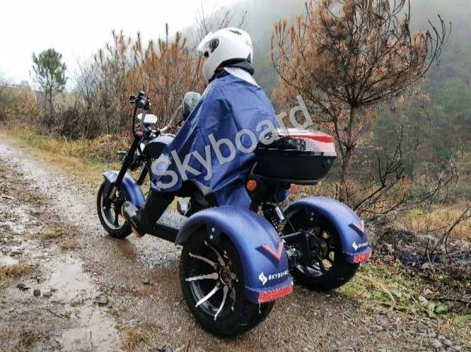 Скутер электрический Skyboard Trike Chopper 2000