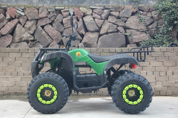 Электроквадроцикл GreenCamel Сахара A3052 Электроквадроцикл GreenCamel Сахара A3052