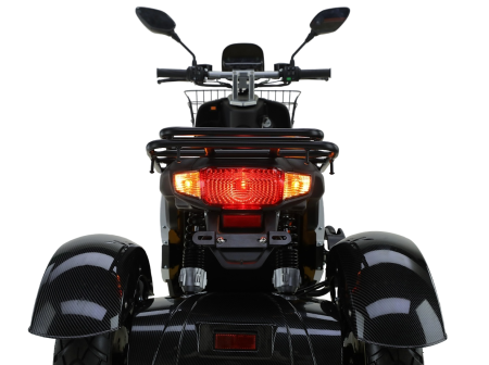 Трехколесный электроскутер Рорикс ET-R 120