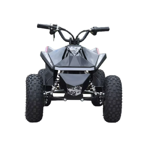 Электроквадроцикл Skyboard CyberTruck Sochi Kids 800W (цепной привод) Электроквадроцикл Skyboard CyberTruck Sochi Kids 800W (цепной привод)