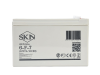 Аккумулятор для ИБП SKN 6-F-7 (12V7Ah C20)