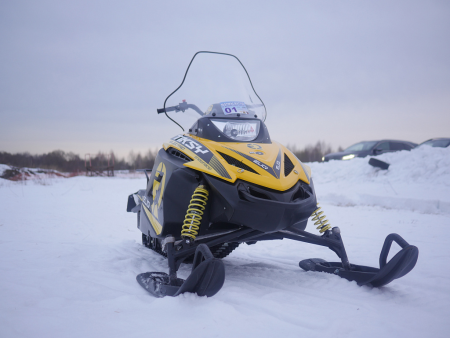 Электронегоход ELIQ Тикси АКБ 52AH, 72V + ЗУ 25А