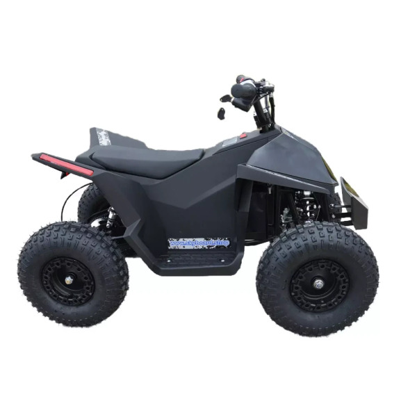 Электроквадроцикл Skyboard CyberTruck Sochi Kids 800W (цепной привод) Электроквадроцикл Skyboard CyberTruck Sochi Kids 800W (цепной привод)