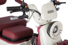 Электротрицикл Rutrike Gelbert Mercury 48V/60V 650Вт бело-красный