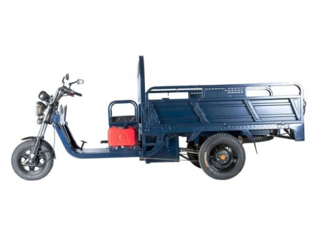 Электротрицикл Rutrike D4 Гибрид 1800 60V1200W