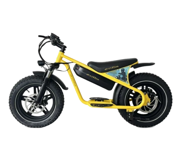 Электровелосипед Griffin J3