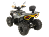 Бензиновый квадроцикл GT ATV 200-01 PRO 200cc