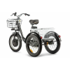 Трицикл Eltreco Porter Fat 700 Серый