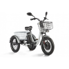 Трицикл Eltreco Porter Fat 700 Серый