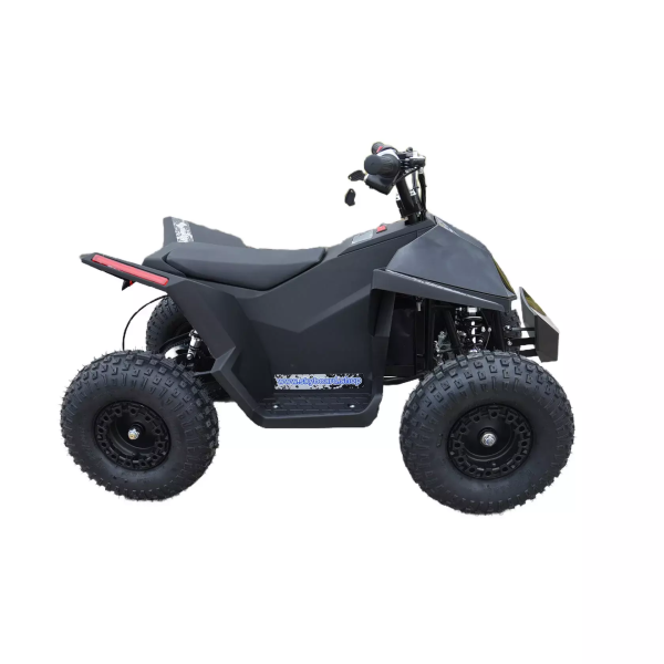 Электроквадроцикл Skyboard CyberTruck Sochi Power 1000W (дифференциальный редуктор) Электроквадроцикл Skyboard CyberTruck Sochi Power 1000W (дифференциальный редуктор)