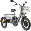 Трехколесный электровелосипед Трицикл GREEN CITY e-ALFA Trike 