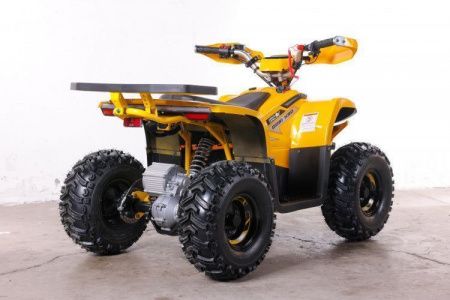 Квадроцикл GreenCamel Gobi K90 (42Ah 36V 750W R7 Дифф) LUX Bluetooth Желтый