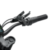 Электровелосипед COSWHEEL R6000
