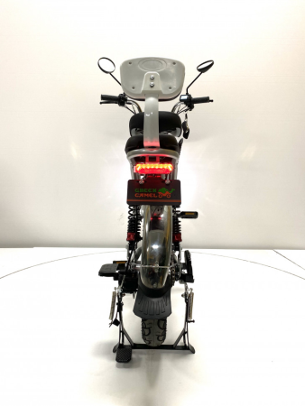 Электровелосипед GreenCamel Транк Монстр PRO (R16FAT 800W 48V15Ah) гидравл. тормоз