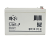 Тяговый аккумулятор SKN 6-DZF-12 (12V14.5A/H C5)