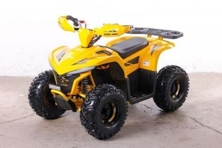 Квадроцикл GreenCamel Gobi K90 (42Ah 36V 750W R7 Дифф) LUX Bluetooth Желтый