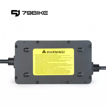 Зарядное устройство 79Bike