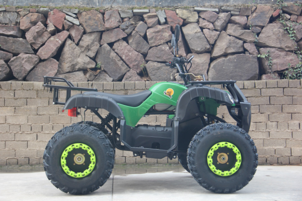 Электроквадроцикл GreenCamel Сахара A3052 Электроквадроцикл GreenCamel Сахара A3052