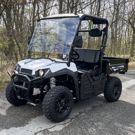 UTV GreenCamel Linhai LH50DU 150Ah (4kW AC, R12 литые) LUX белый