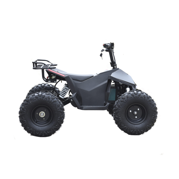 Электроквадроцикл Skyboard CyberTruck Karelia 1800W Электроквадроцикл Skyboard CyberTruck Karelia 1800W