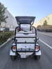 Гольфкар GreenCamel Сонора A40 New (4 seats 2500W 225/40-10' литые) белый