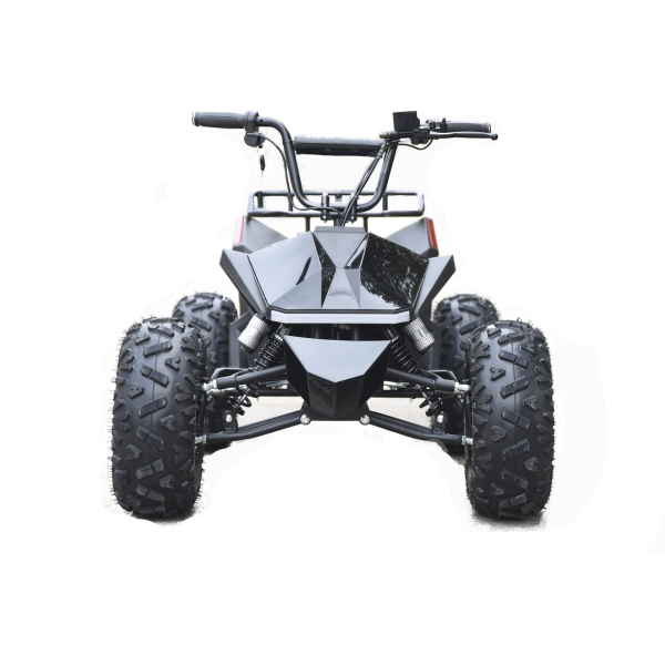 Электроквадроцикл Skyboard CyberTruck Karelia 1800W Электроквадроцикл Skyboard CyberTruck Karelia 1800W