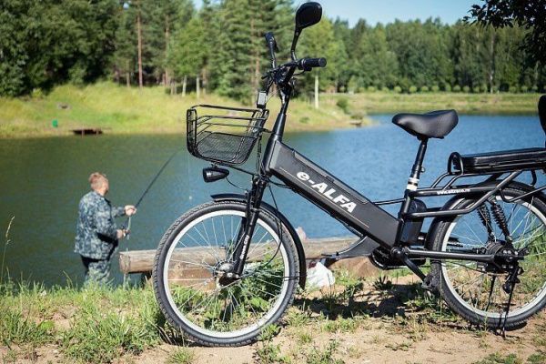 Велогибрид GREEN CITY e-ALFA GL 2021