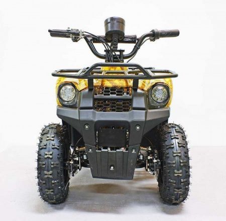 Квадроцикл GreenCamel Gobi K45 (12Ah 36V 800W R6 Цепь) быстросъем, ножной тормоз, золотая осень