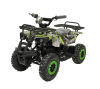 Квадроцикл GreenCamel Гоби K32 (12Ah 36V 800W R6 Цепь) ножной тормоз Зеленый экстрим