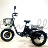 Трицикл Eltreco Porter Fat 700 Черный