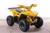 Квадроцикл GreenCamel Gobi K90 (42Ah 36V 750W R7 Дифф) LUX Bluetooth Желтый