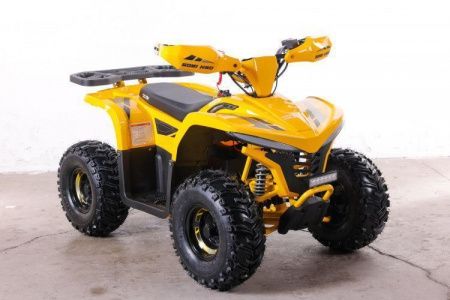 Квадроцикл GreenCamel Gobi K90 (42Ah 36V 750W R7 Дифф) LUX Bluetooth Желтый