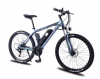 Электровелосипед AKEZ АК3-EM039 36V10Ah (спицы) серый