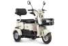 Электротрицикл Rutrike Gelbert Mercury 48V/60V 650Вт черный