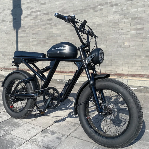 Электровелосипед AKEZ S2 RX 48V23Ah