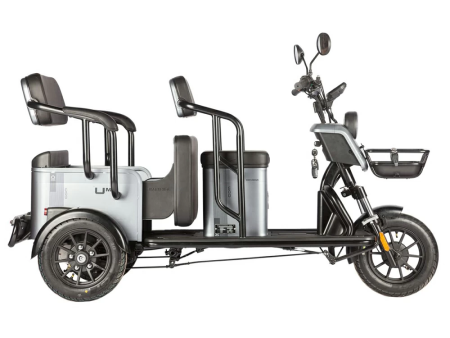 Электротрицикл Wanshida UM+ 60V 1000Вт серый