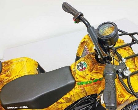 Квадроцикл GreenCamel Gobi K45 (12Ah 36V 800W R6 Цепь) быстросъем, ножной тормоз, золотая осень