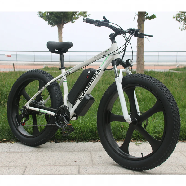 Электровелосипед AKEZ Hongze Snow 48V13Ah (спицы) белый