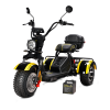 Электротрицикл SIBERTON PRO TRIKE 3000W