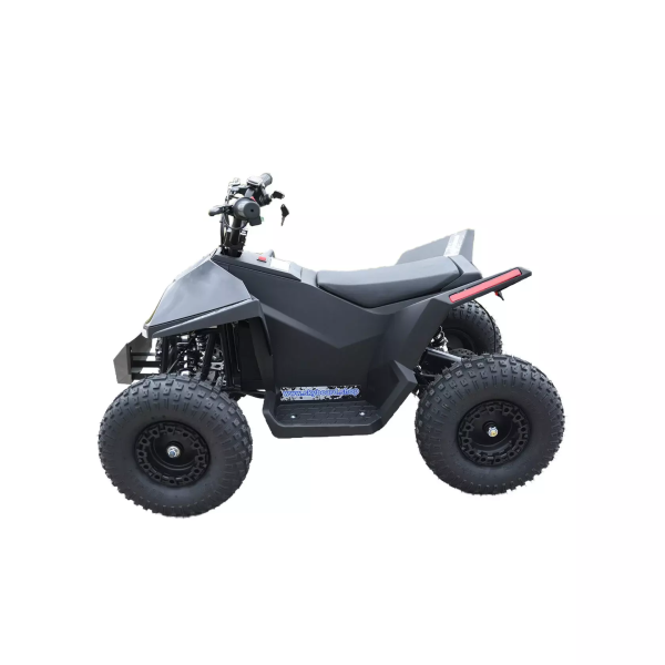 Электроквадроцикл Skyboard CyberTruck Sochi Power 1000W (дифференциальный редуктор) Электроквадроцикл Skyboard CyberTruck Sochi Power 1000W (дифференциальный редуктор)