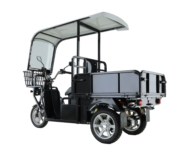 Грузовой электроскутер трицикл Рорикс ET-G90
